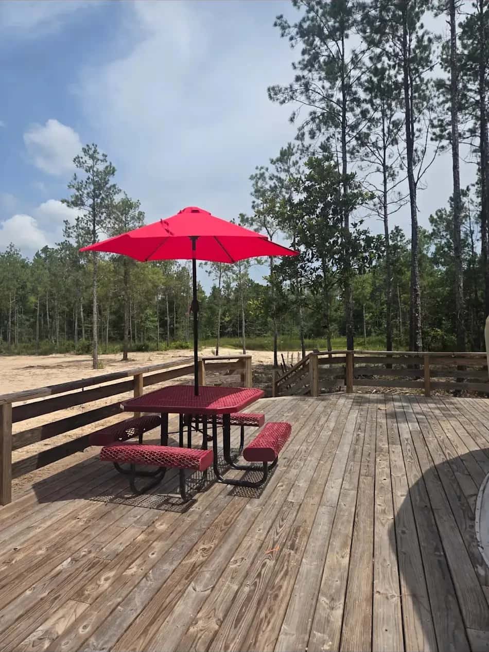 Spacious wooden deck looking out over the East Texas pine forest