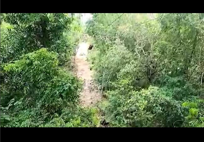 Video showcase of complete glamping experience at The Glamping Spot geodesic domes